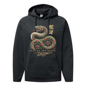 Year Of The Snake 2025 Chinese New Year Performance Fleece Hoodie