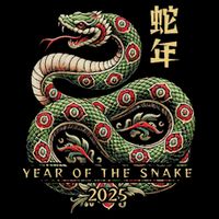Year Of The Snake 2025 Chinese New Year Wool Snapback Cap