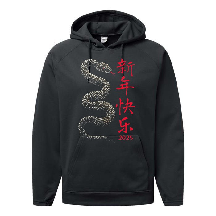 Year Of The Snake 2025 Chinese New Year Performance Fleece Hoodie