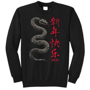 Year Of The Snake 2025 Chinese New Year Sweatshirt