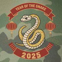 Year Of The Snake 2025 Chinese Zodiac Chinese New Year Legacy Tie Dye Trucker Hat