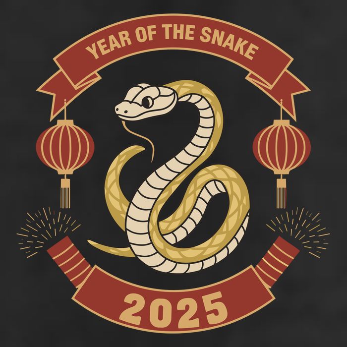 Year Of The Snake 2025 Chinese Zodiac Chinese New Year Cool Comfort Performance Bucket Hat