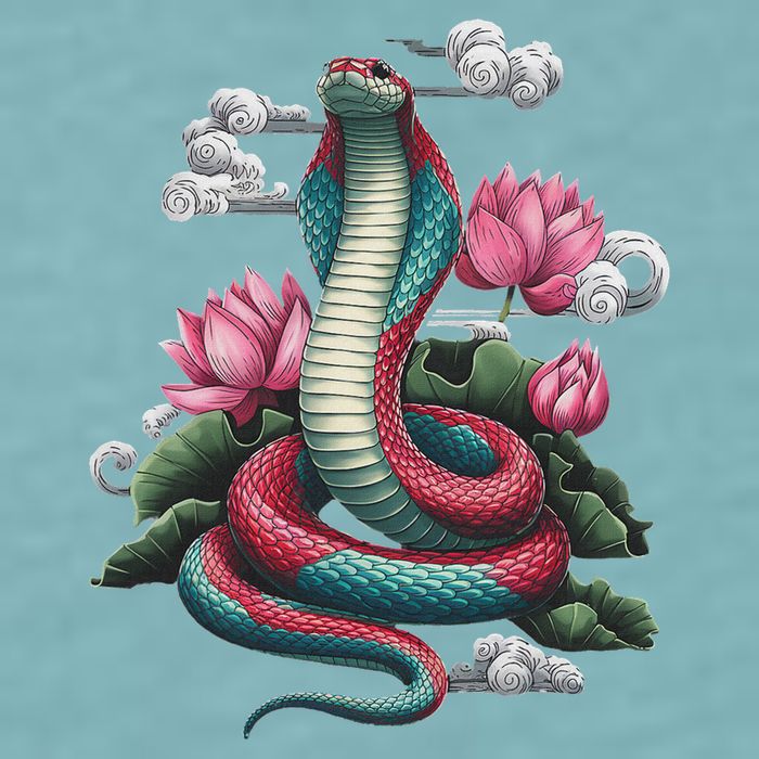 Year Of The Snake 2025 Cool Snake Graphic Art Sueded Cloud Jersey T-Shirt