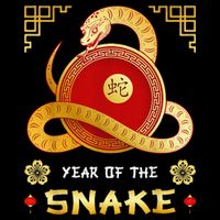 Year Of The Snake 2025 Lunar New Year Chinese New Year 2025 Button