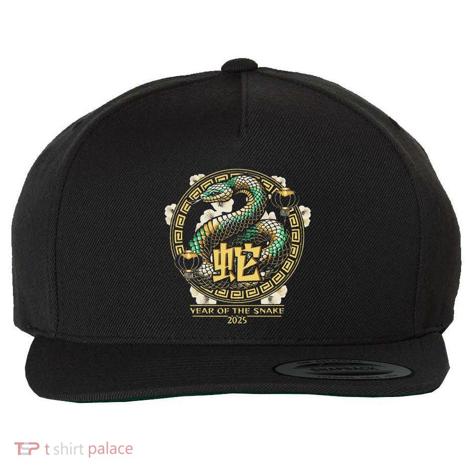 Year Of The Snake 2025 Chinese New Year Wool Snapback Cap