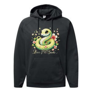 Year Of The Snake 2025 Lunar New Year Chinese New Year 2025 Performance Fleece Hoodie