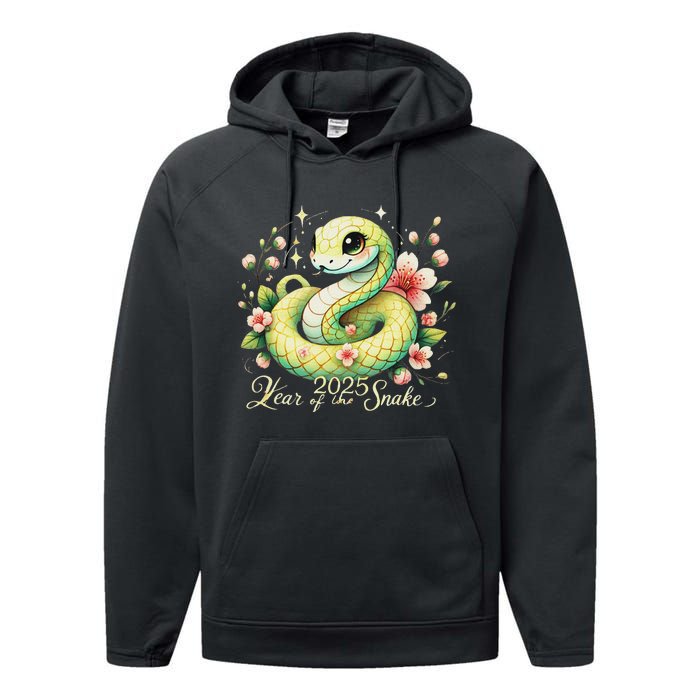 Year Of The Snake 2025 Lunar New Year Chinese New Year 2025 Performance Fleece Hoodie