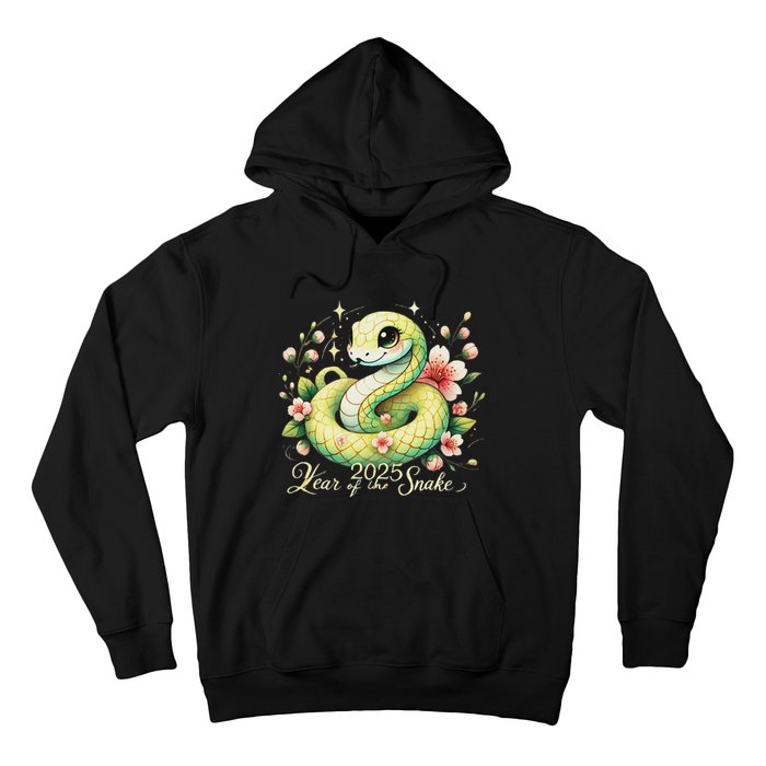 Year Of The Snake 2025 Lunar New Year Chinese New Year 2025 Hoodie