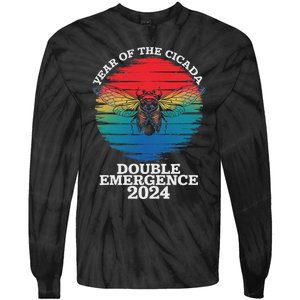 Year Of The Cicada 2024 Cicada Invasion Brood Xix Brood Xiii Tie-Dye Long Sleeve Shirt