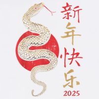Year Of The Snake 2025 Chinese New Year Wool Snapback Cap