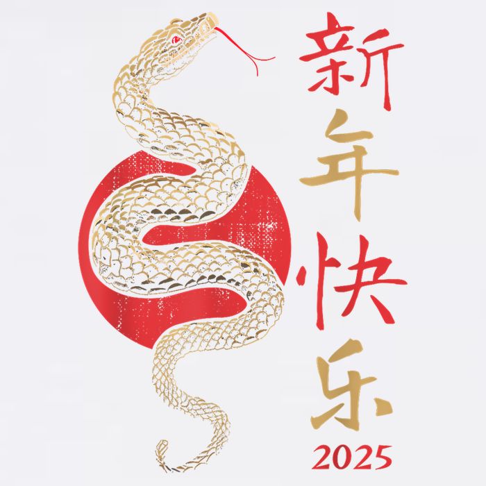 Year Of The Snake 2025 Chinese New Year Wool Snapback Cap