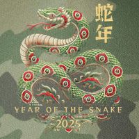 Year Of The Snake 2025 Chinese New Year Legacy Tie Dye Trucker Hat