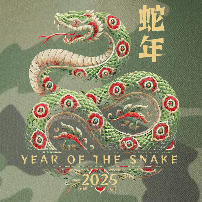 Year Of The Snake 2025 Chinese New Year Legacy Tie Dye Trucker Hat