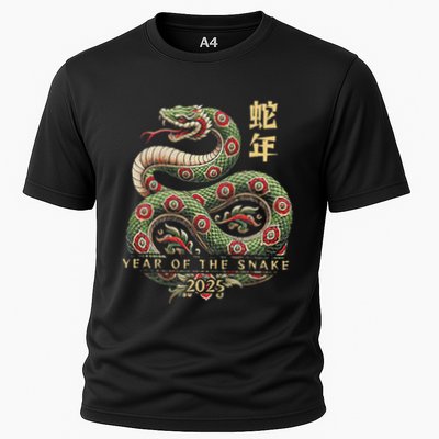Year Of The Snake 2025 Chinese New Year Performance Shirt