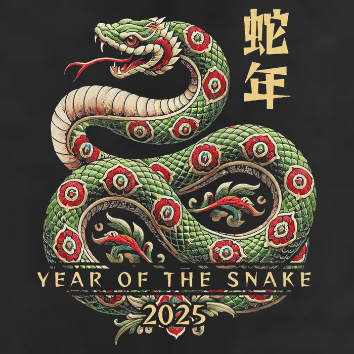 Year Of The Snake 2025 Chinese New Year Adult Drive Performance Visor