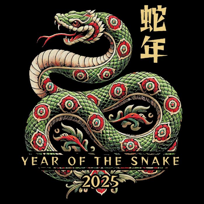 Year Of The Snake 2025 Chinese New Year Youth Performance Sprint T-Shirt