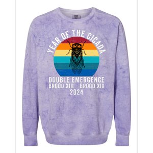 Year Of The Cicada Double Emergence Brood Xiii Brood Xix 2024 Colorblast Crewneck Sweatshirt