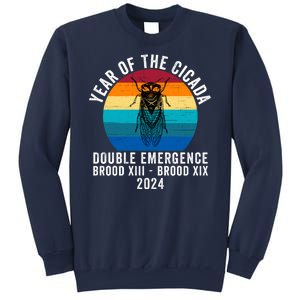 Year Of The Cicada Double Emergence Brood Xiii Brood Xix 2024 Sweatshirt