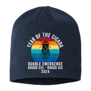 Year Of The Cicada Double Emergence Brood Xiii Brood Xix 2024 Sustainable Beanie