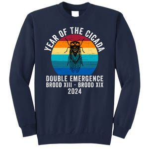 Year Of The Cicada Double Emergence Brood Xiii Brood Xix 2024 Tall Sweatshirt