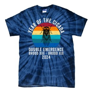 Year Of The Cicada Double Emergence Brood Xiii Brood Xix 2024 Tie-Dye T-Shirt