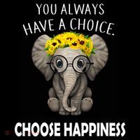 You Always Have A Choice Choose Happiness Wool Snapback Cap