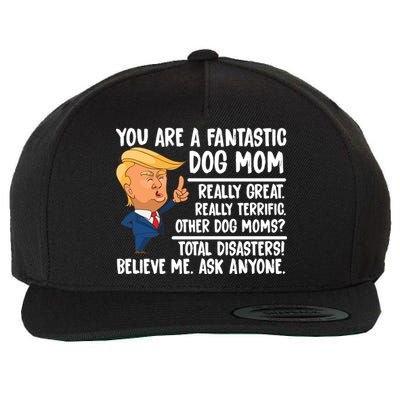 You Are A Fantastic Dog Mom Donald Trump Wool Snapback Cap