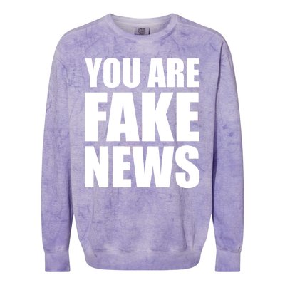 You Are Fake News #FAKENEWS Colorblast Crewneck Sweatshirt