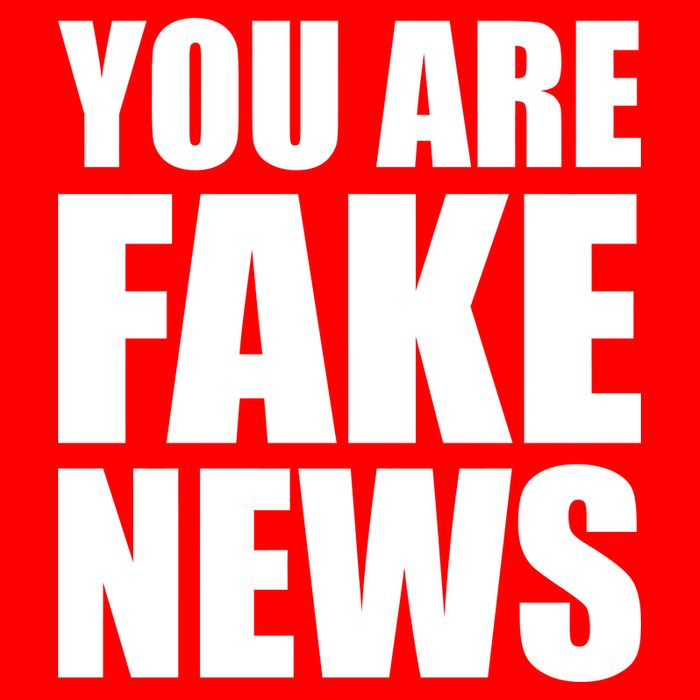 You Are Fake News #FAKENEWS Kids Sweatshirt