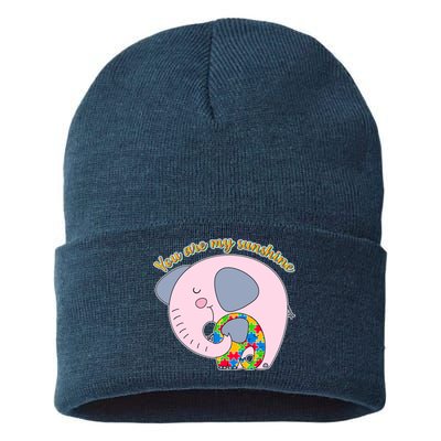 You Are My Sunshine Autism Awareness Sustainable Knit Beanie