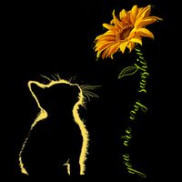 You Are My Sunshine Cat Sunflower Mug