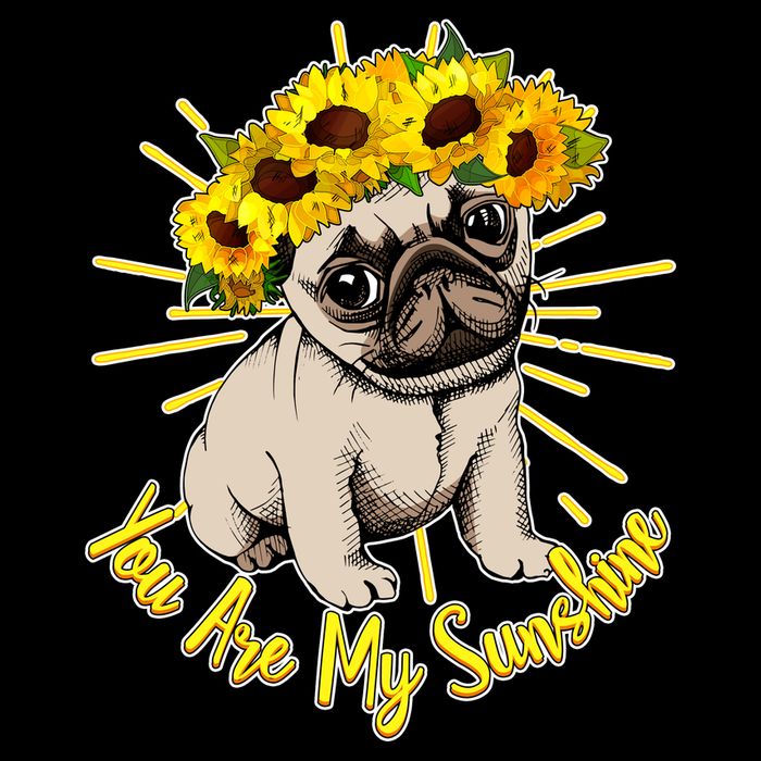 You Are My Sunshine Sunflower Pug Cooling Performance Crew T-Shirt