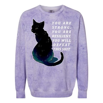 You Are Strong Resilient You Will Defeat This Shit Cat Colorblast Crewneck Sweatshirt