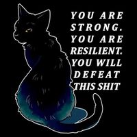 You Are Strong Resilient You Will Defeat This Shit Cat 7-Panel Snapback Hat