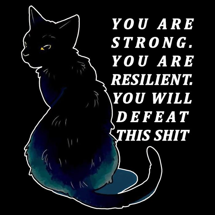 You Are Strong Resilient You Will Defeat This Shit Cat 7-Panel Snapback Hat