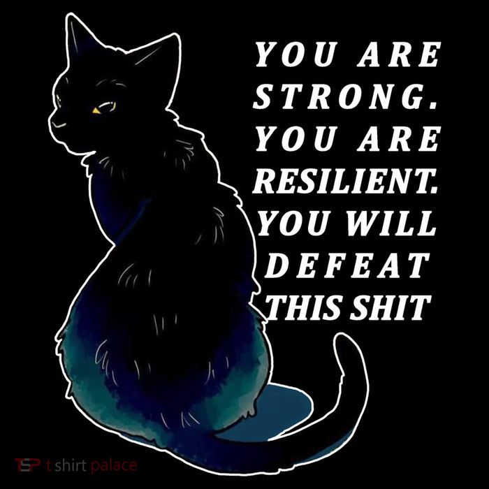 You Are Strong Resilient You Will Defeat This Shit Cat Magnet