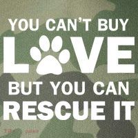 You Can't Buy Love But You Can Rescue It Legacy Tie Dye Trucker Hat