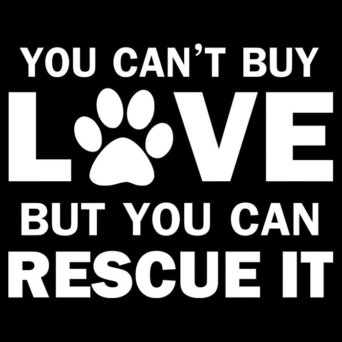 You Can't Buy Love But You Can Rescue It Cropped Pullover Crew