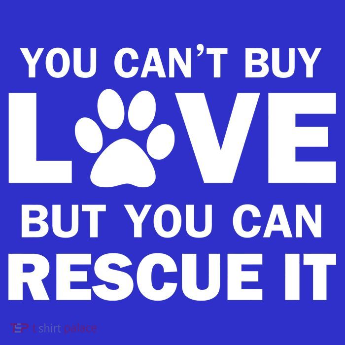 You Can't Buy Love But You Can Rescue It Hoodie