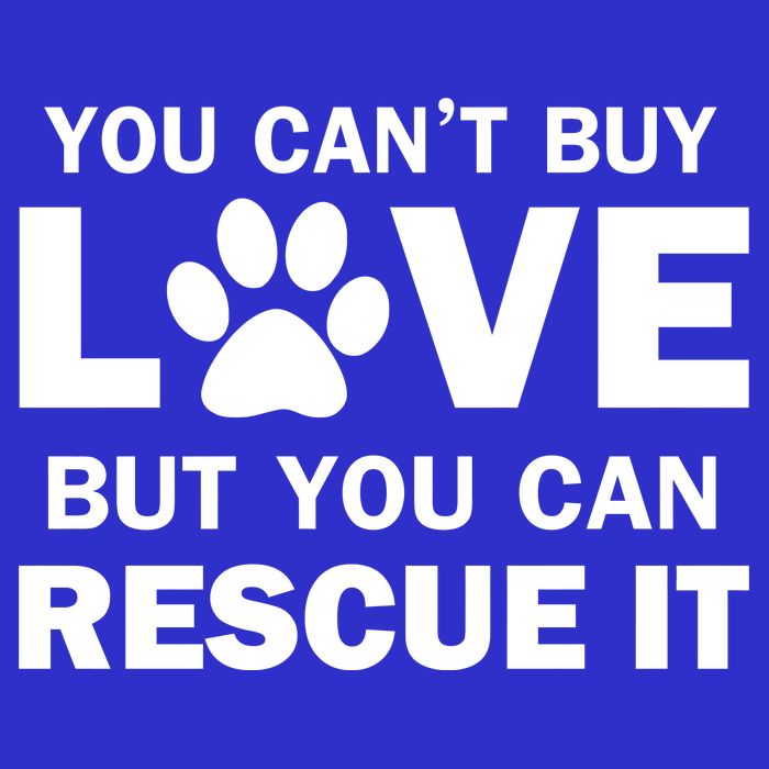 You Can't Buy Love But You Can Rescue It Women's V-Neck T-Shirt