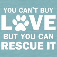 You Can't Buy Love But You Can Rescue It Sueded Cloud Jersey T-Shirt