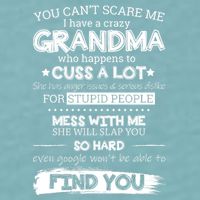 You Can't Scare Me I Have a Crazy Grandma Sueded Cloud Jersey T-Shirt