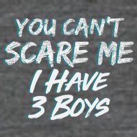 You Can't Scare Me I Have Three Boys T-Shirt