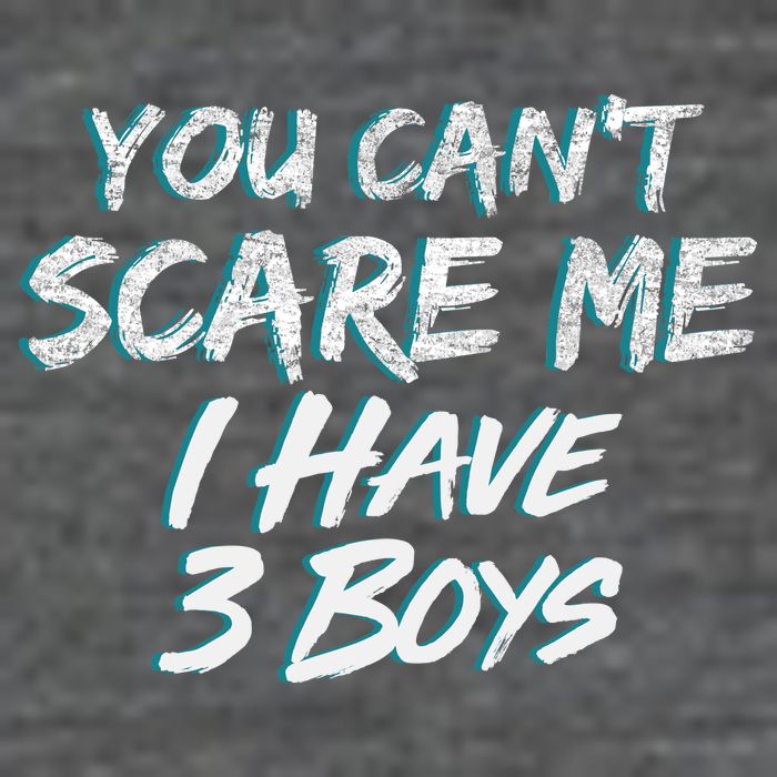 You Can't Scare Me I Have Three Boys T-Shirt