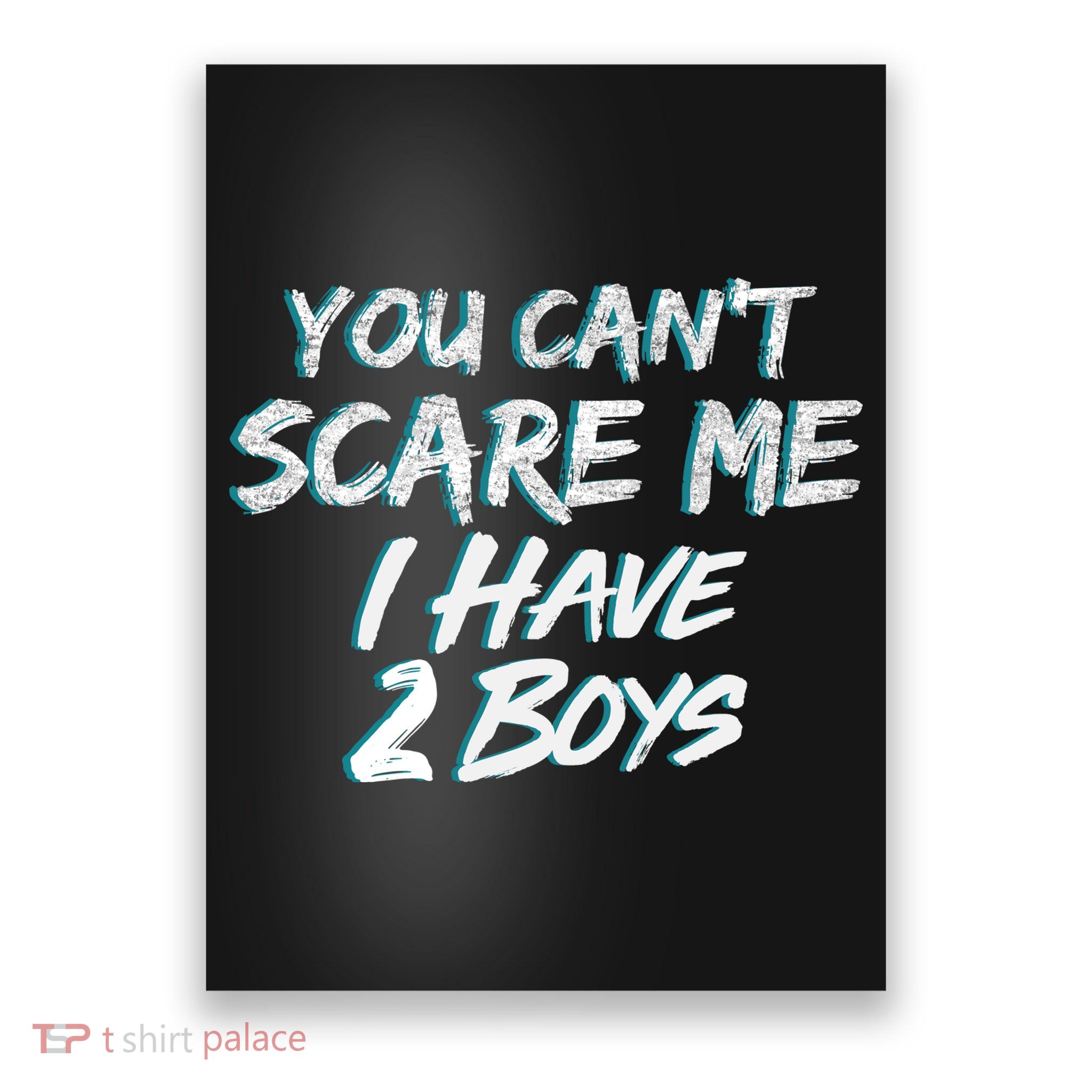 You Can't Scare Me I Have Two Boys Poster