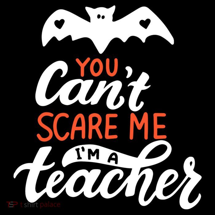 You Can't Scare Me I'm A Teacher Bat Flexfit Unipanel Trucker Cap