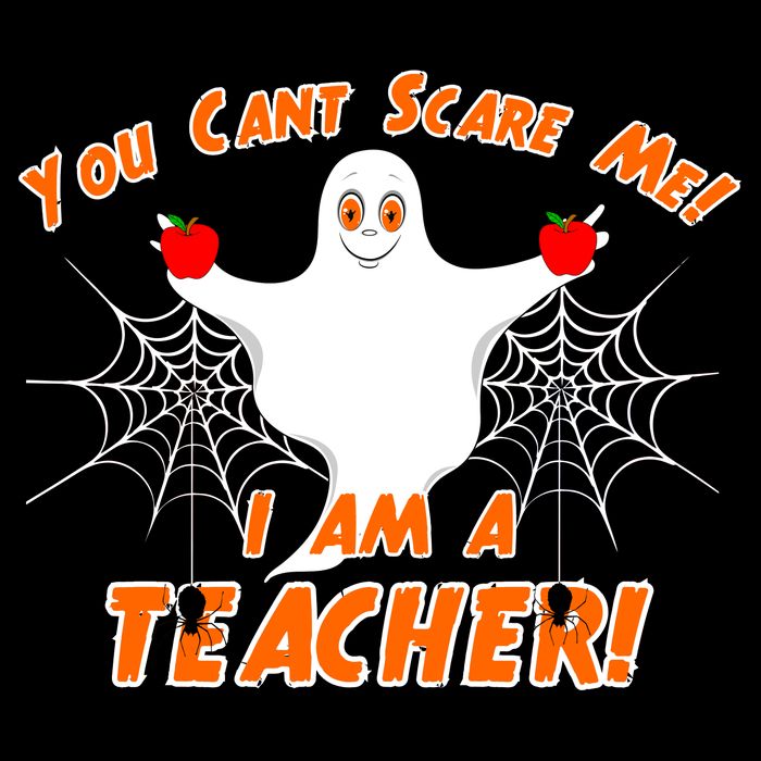 You Can't Scare Me I'm a Teacher Halloween Ghost Spiders Hooded Wearable Blanket