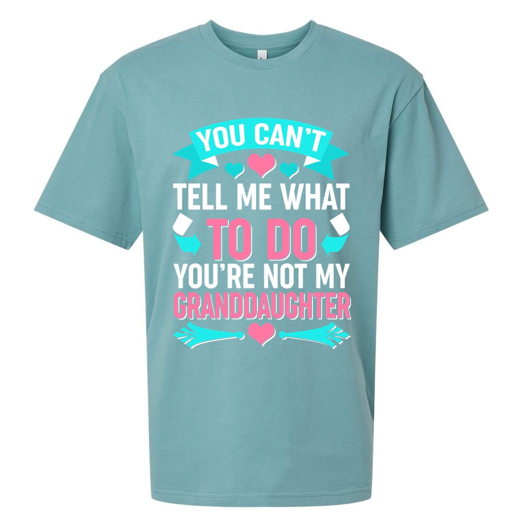 You Can't Tell Me What To Do Granddaughter Sueded Cloud Jersey T-Shirt