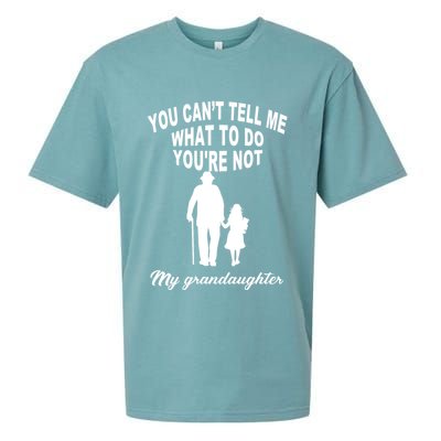 You Can't Tell Me What To Do You're Not My Grandaughter Sueded Cloud Jersey T-Shirt