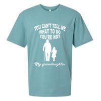You Can't Tell Me What To Do You're Not My Grandaughter Sueded Cloud Jersey T-Shirt